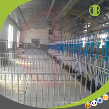 Quality Custom Mechanized Livestock Equipment Finishing Stall